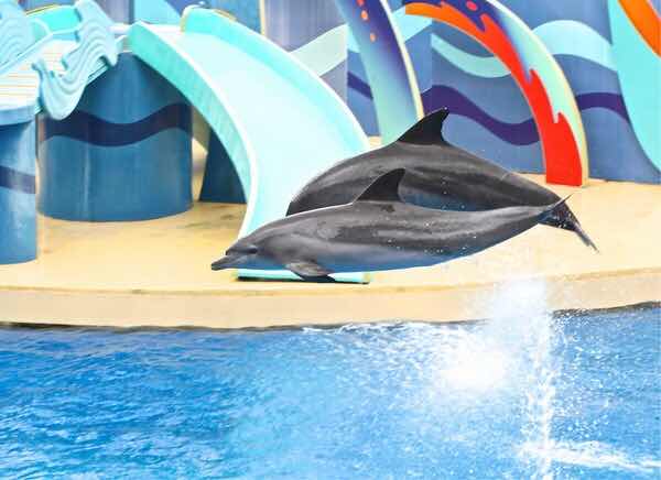 苏州蜜月旅行攻略大全，浪漫景点一网打尽！