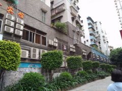 广州中山八路某小区突发状况深度解析