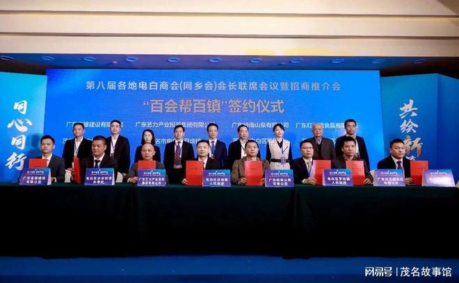 湛江电白最新新闻头条速递