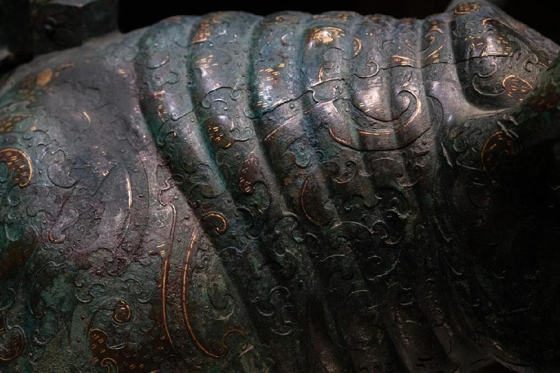 揭秘犀牛与犀牛角，探寻百度知识宝库中的奥秘