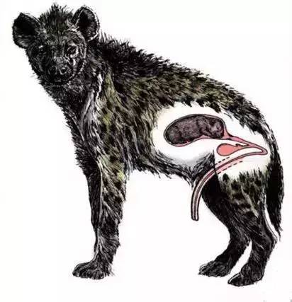 富贵骄人 第3页