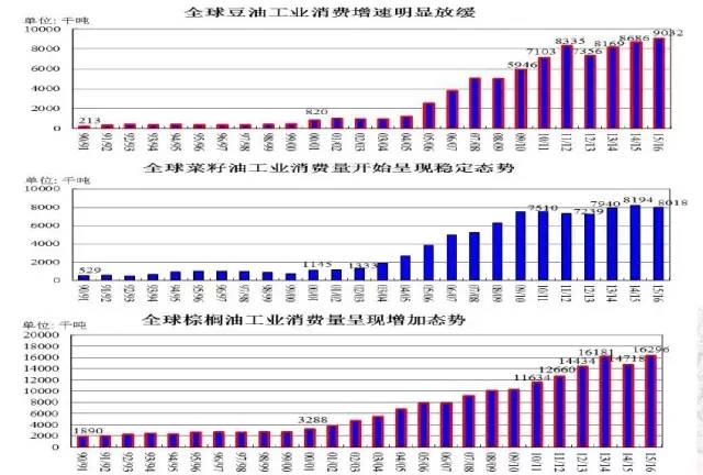 今日尾市最新动态，市场走势深度分析与展望