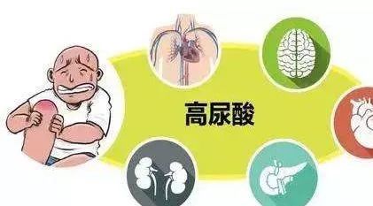 蒙医独特疗法，针对痛风尿酸高效果显著，治疗新选择！