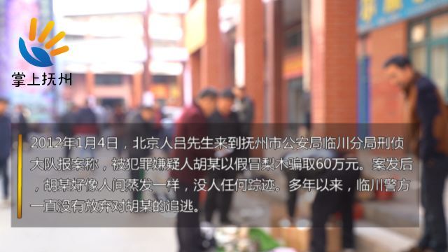 开平最新消息速递，今日头条全掌握