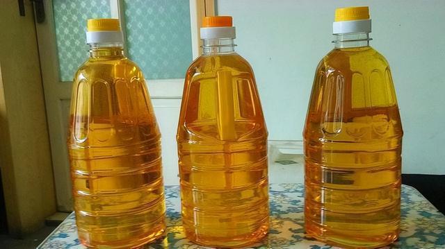 2025年2月10日 第3页