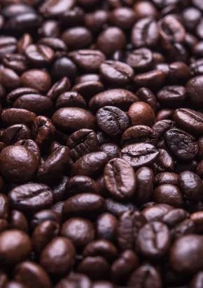 咖啡文化深度探索，探寻咖啡背后的故事与魅力