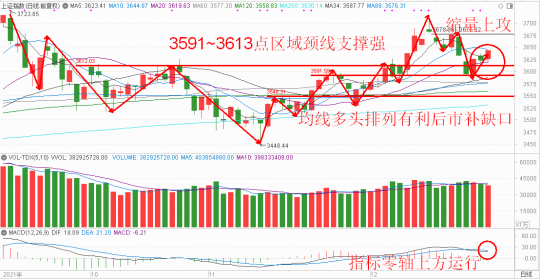 母驴价格行情更新，最新图片与市场价格走势分析