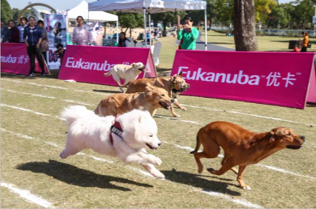 人贵自立 第2页