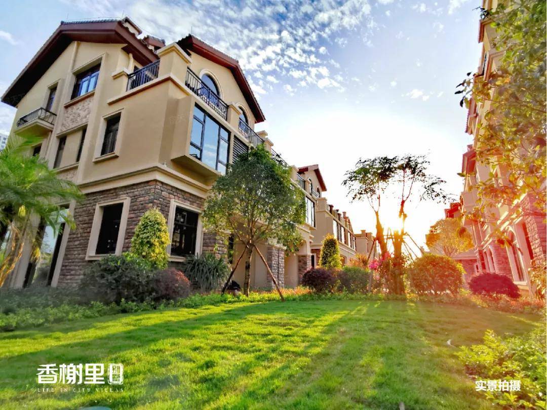 中山最新动态更新