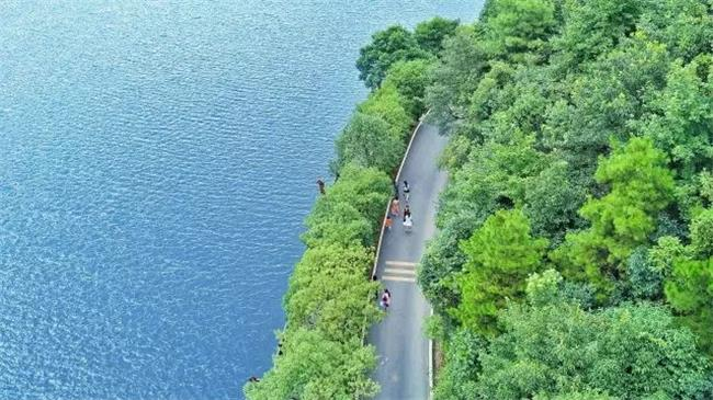 心慌意乱 第4页