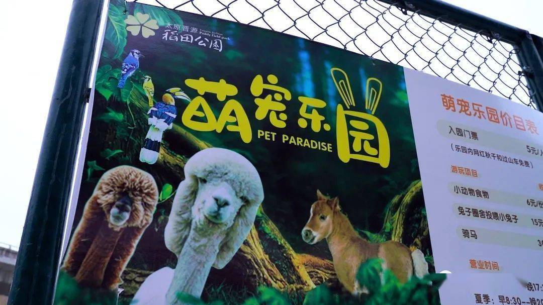 银基动物乐园游玩秘籍，最新攻略一网打尽！