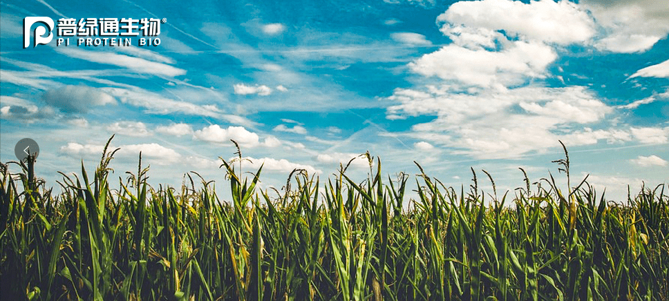环境建设考评，打造绿色生态，共建美好家园宣传稿