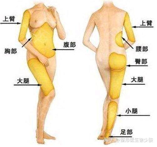 脂肪高效燃烧秘诀，解锁健康减肥之门