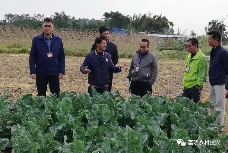 安定祥和背后的最新新闻动态报道