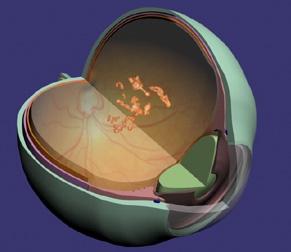 衣无二彩 第3页