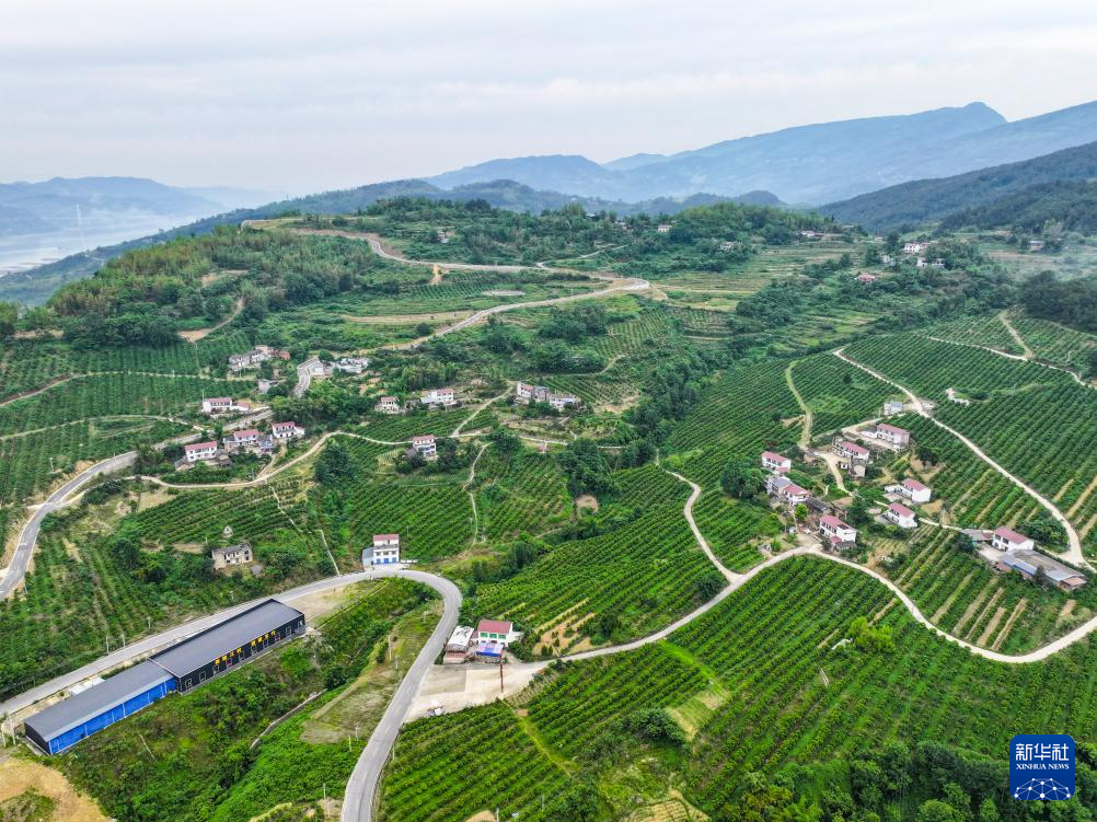 渠县三汇乡乡村振兴与地方发展迈入崭新篇章