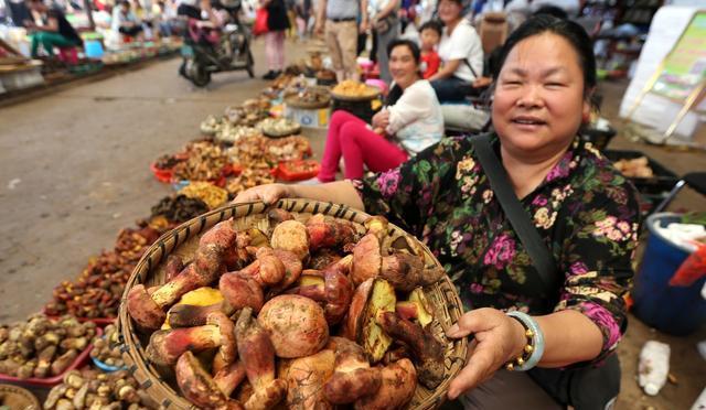 云南掀起吃瓜热潮，最新消息揭秘！