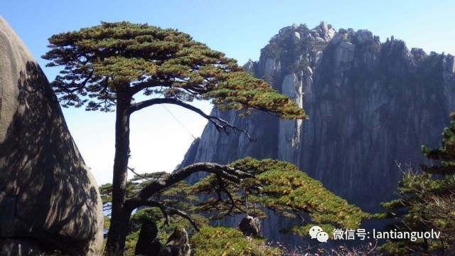 黄山登顶攻略，探索绝美风光，体验极致旅行！