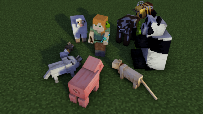 全民学霸探险攻略大揭秘，最新秘籍助你成为顶尖探险家！