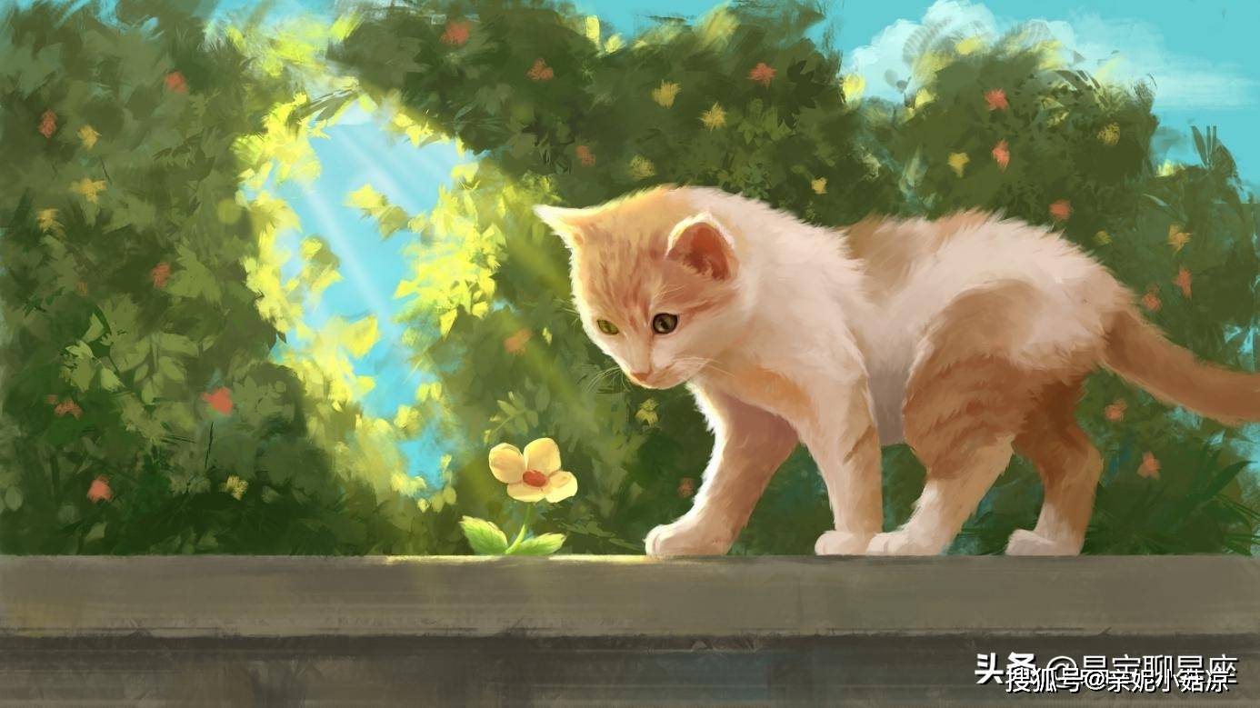 濒危动物守护行动，共同责任，呼唤你我关注！