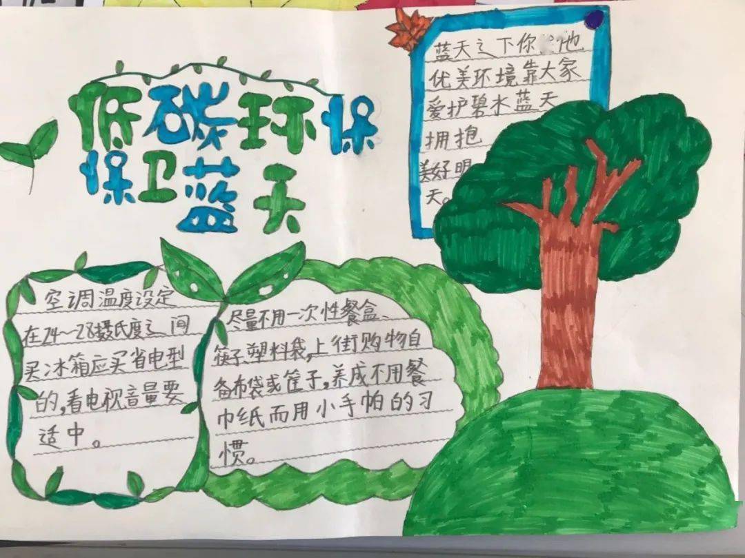 学校节能减排行动，打造绿色校园，培育环保意识引领未来