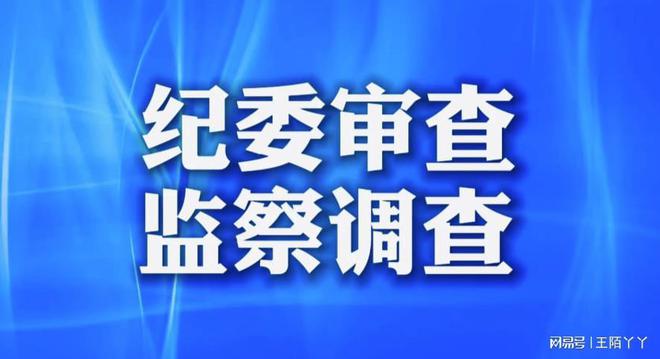 推动社会进步的基石，基层力量大揭秘