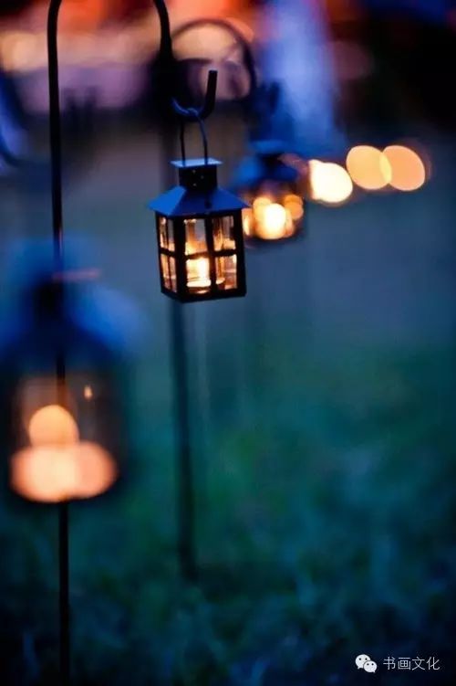 灯火璀璨照人生，探寻生命意义与价值