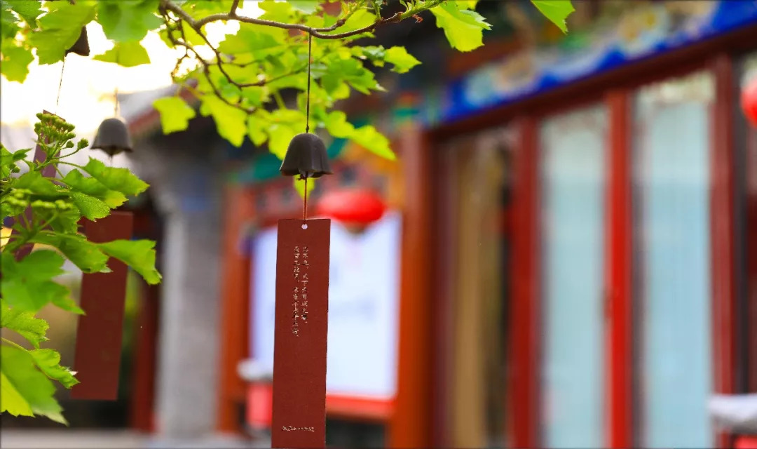 人的能量波动，动态变化的无限可能