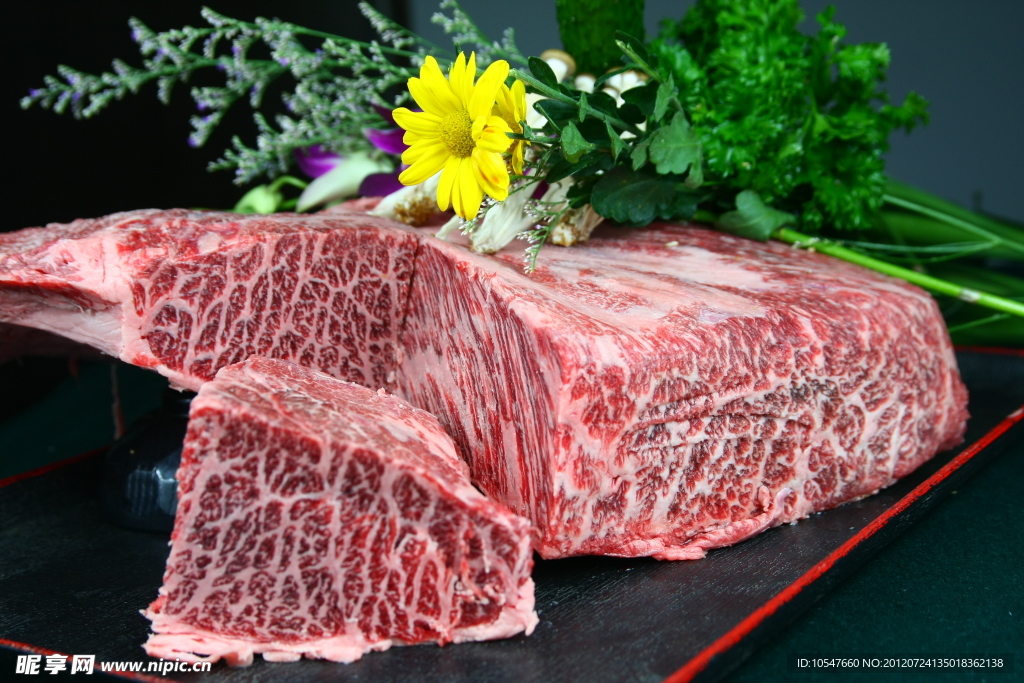 金龙价格排名TOP10揭秘，热门金龙品种价值大揭秘！