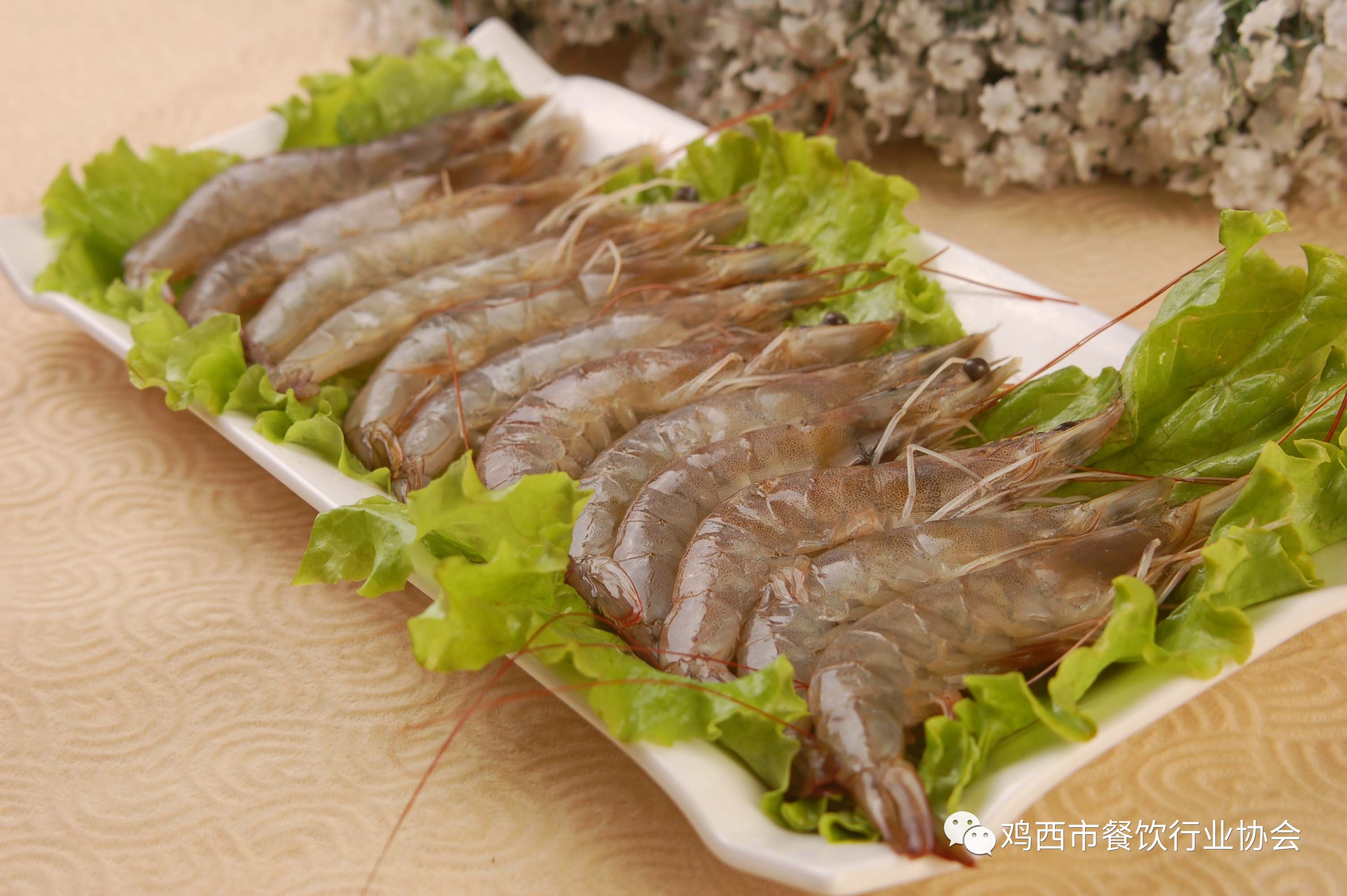 活虾宣传片，鲜虾盛宴，海洋魅力展现