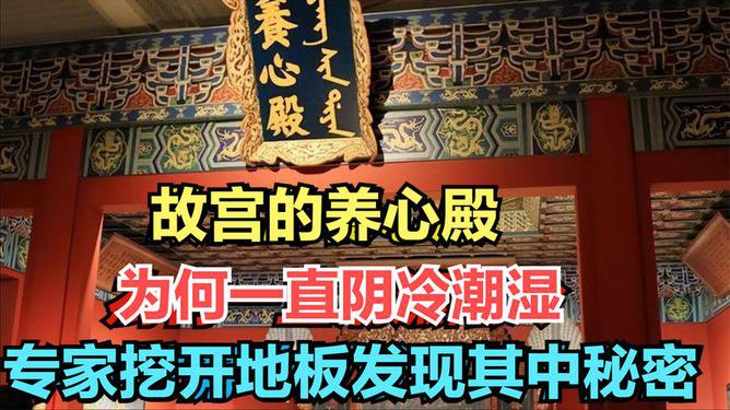 小严独家揭秘，探索未知奥秘，带你发现美好世界