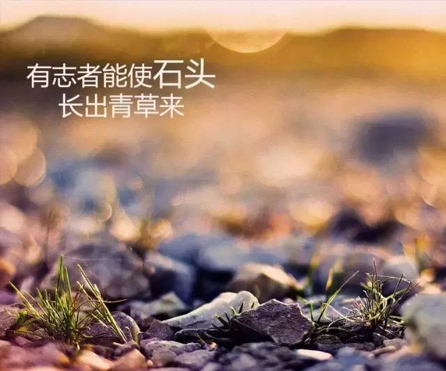 英语励志长句的魅力与深远影响