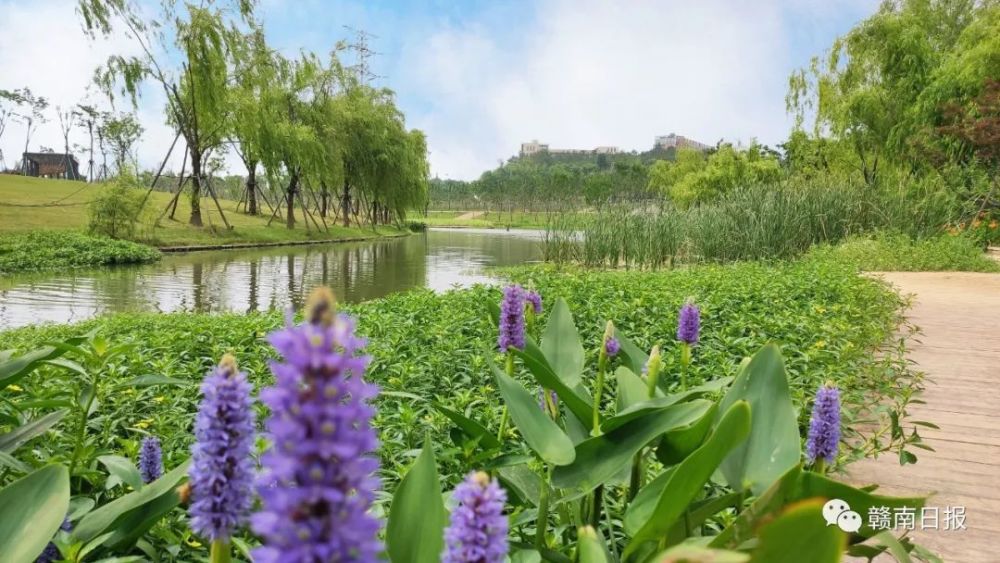 海南灵山市最新新闻头条，不容错过！