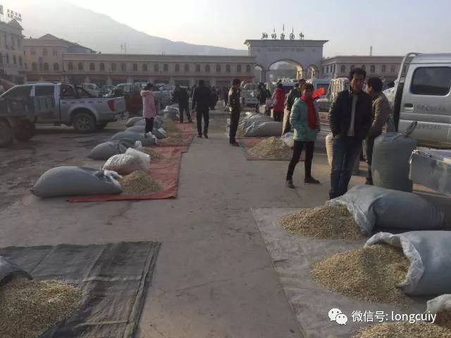 岷县最新消息，今日资讯一网打尽