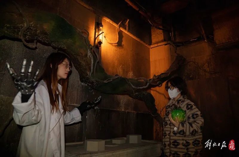 人物深度揭秘，探寻灵魂的归宿之旅