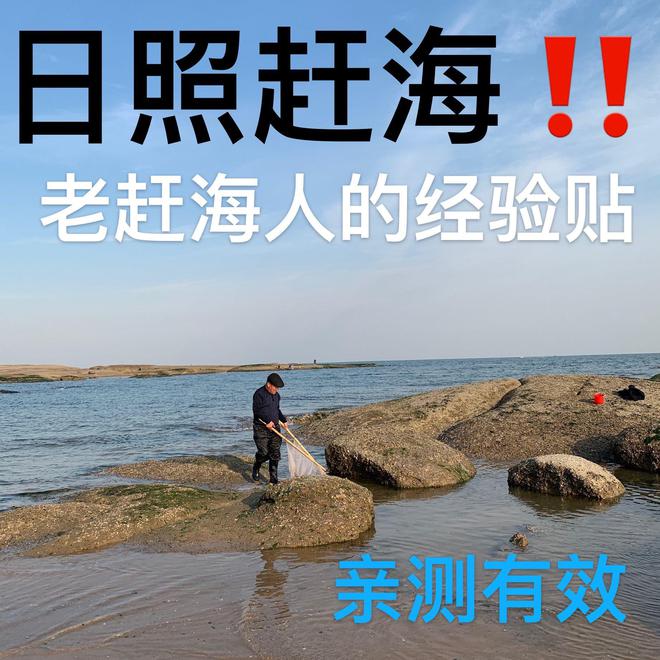 南昌自驾赶海指南,最新攻略分享!