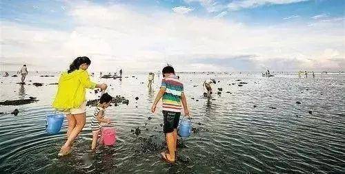 南昌自驾赶海指南,最新攻略分享!