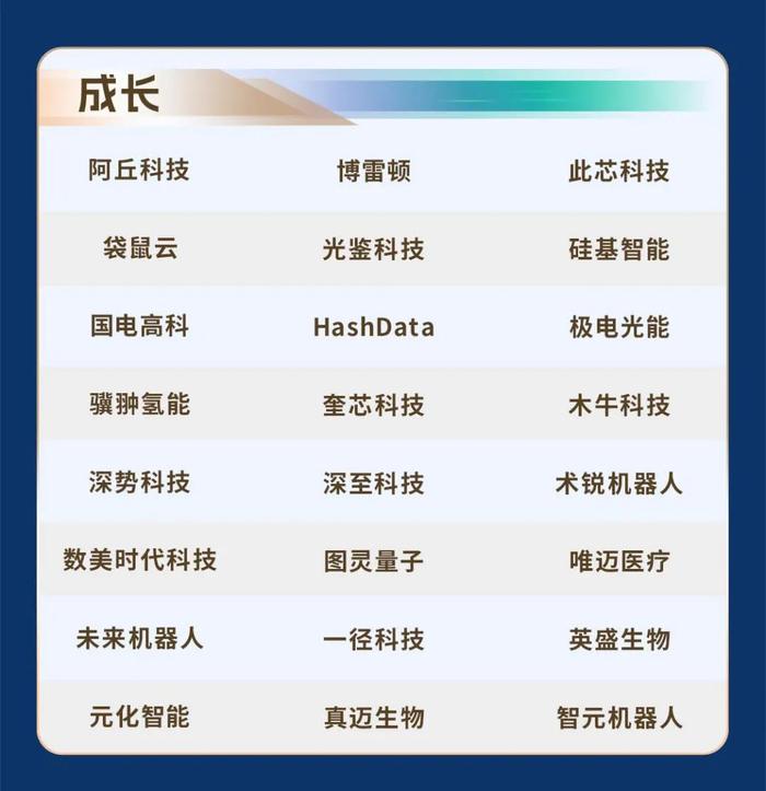 头条电商公司榜单揭晓，揭秘行业巨头前十排名！