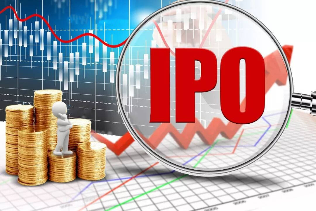 突发暂停IPO事件，企业上市之路面临重大挑战