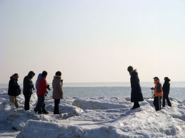 北戴河冬季旅游攻略大全，带你玩转冬日海滨风情！