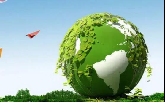 林业绿色发展力量展望，未来趋势与专题报道揭秘