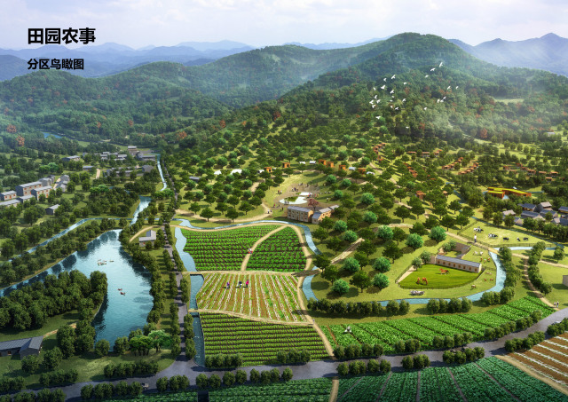 2025年4月1日 第5页