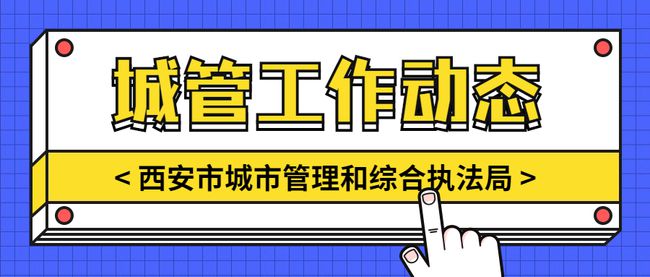 市政设施停车位规范，城市管理效率与民生福祉的关键要素