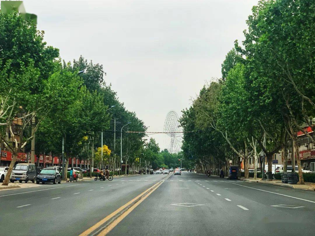 下午茶时光，品味优雅生活的艺术瞬间