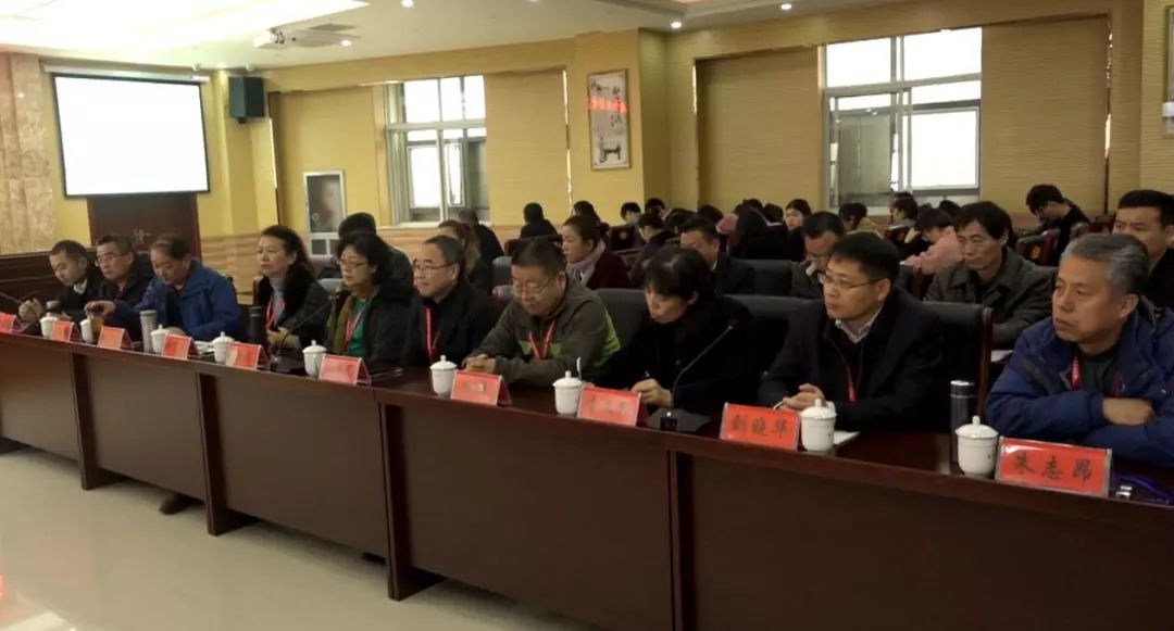 面粉市场动态与产业趋势展望，最新消息及未来发展解析