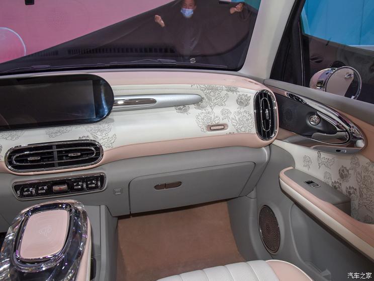 欧拉芭蕾猫最新动态揭秘，今日更新消息抢先看！