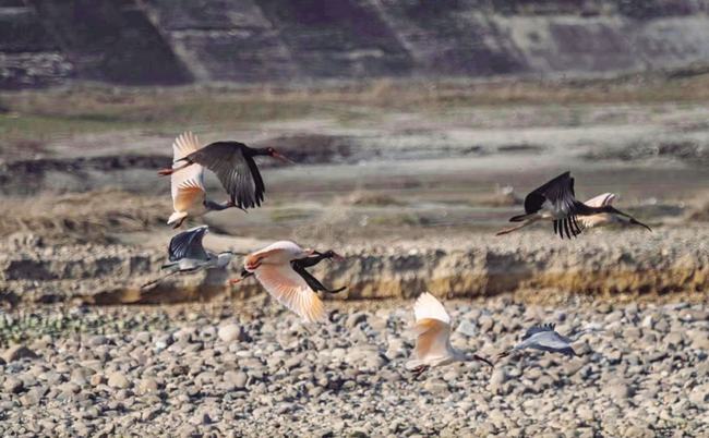 攀高结贵 第3页