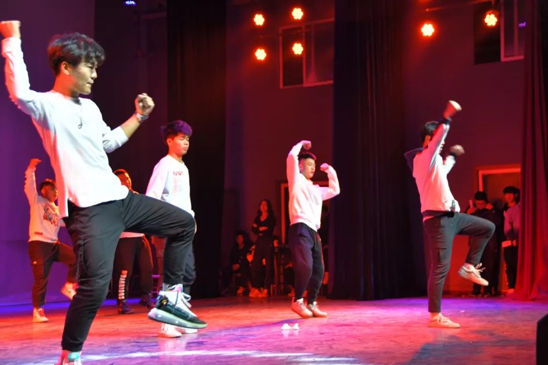 揭秘今日龙瑞最新动态，独家视频消息速递