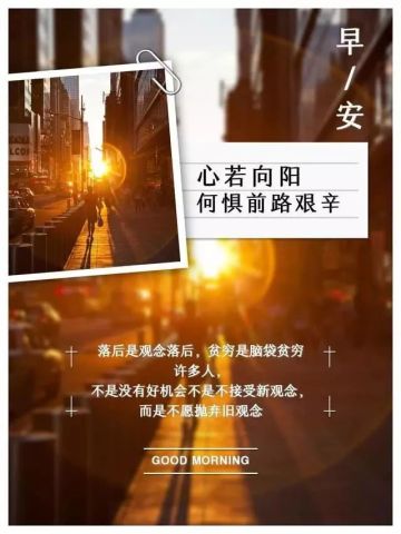 励志小说经典语录精选，引人深思