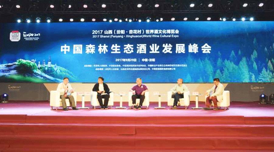 森林生态新进展，新闻头条揭秘保护更新动态